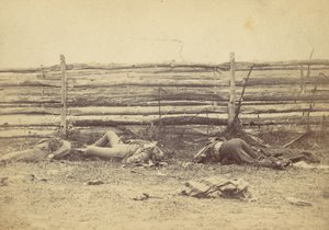 Veduta nel campo, sul lato ovest della strada di Hagerstown, dopo la battaglia di Antietam, 1862