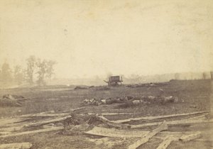 Vista sul campo di battaglia di Antietam, settembre 1862 da Alexander Gardner