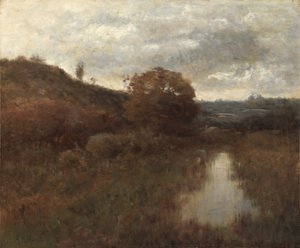 Paesaggio e piscina d