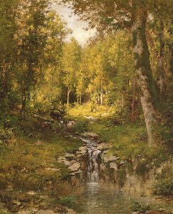 Piscina nel bosco