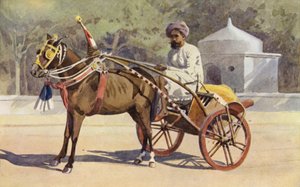 Un Ekka di Benares da Alexander Henry Hallam Murray