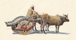 Un carro di buoi, Jodhpur da Alexander Henry Hallam Murray