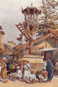 Un Luogo di Alimentazione per Uccelli, Ahmedabad da Alexander Henry Hallam Murray