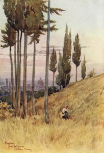 Firenze da Poggio Gherardo da Alexander Henry Hallam Murray