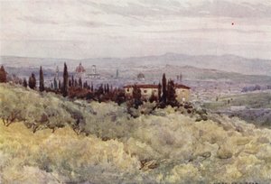 Firenze dai Giardini degli Ulivi di San Domenico