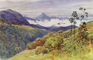 Nebbie mattutine nella valle del Mahawelli Gangha