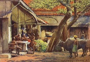 Il Mercato, Colombo