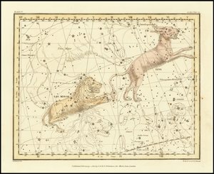 1822 - Alexander Jamieson - Lince e Leone minore da Alexander Jamieson