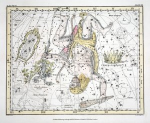 Le costellazioni (Tavola VIII) Corona Boreale, Ercole e Cerbero, Lira, da 