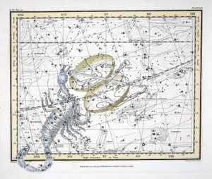 Le costellazioni (Tavola XIX) Bilancia e Scorpione, da 