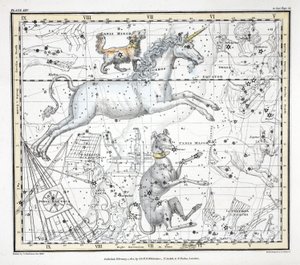 Le costellazioni (Tavola XXV) Canis Major, Canis Minor, Monoceros, Argo Navis, l