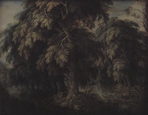 Paesaggio boscoso da Alexander Keirincx