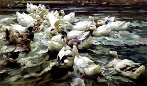 Anatre che si radunano da Alexander Koester