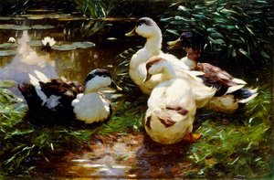Anatre sulla riva del fiume