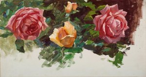 A. Koester, studio di rose