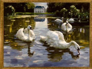 Cigni a Nymphenburg