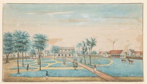 Veduta della piantagione di zucchero Catharina Sophia da Alexander Ludwich Brockmann
