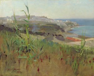 Tangeri dalle dune, 1892 da Alexander Mann