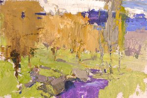 I colori dorati dell