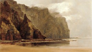 Le scogliere di Minaum, isola di Achill, contea di Connaught, Irlanda da Alexander Williams