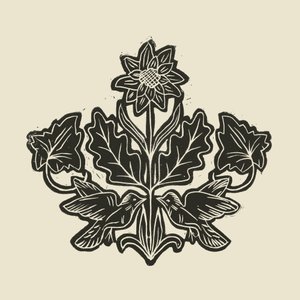 Eleganti uccelli floreali da Alexandra Weise