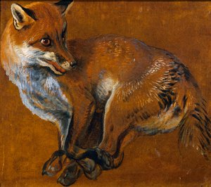 Volpe con zampe legate, di Alexandre-François Desportes da Alexandre Francois Desportes