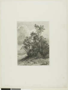 Paesaggio alpino
