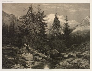 Torrente alpino da Alexandre Calame