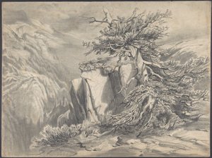  da Alexandre Calame