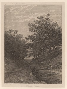 Chemin Creux da Alexandre Calame