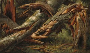 Albero caduto, 1839-1845 da Alexandre Calame