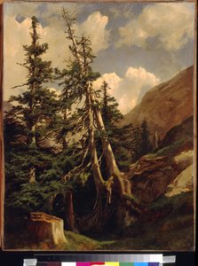 Abeti in montagna di Alexandre Calame (1810-1864). Museo Pushkin delle Belle Arti, Mosca da Alexandre Calame