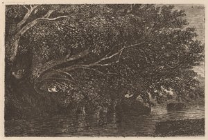 Alberi che si protendono su uno stagno da Alexandre Calame