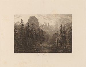 Una Pineta
