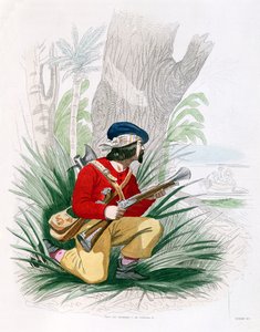 Il Bucaniere, da 