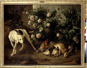 Cane che sorveglia la selvaggina vicino a un cespuglio di rose