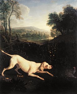 Il cane di Luigi XIV, Tane