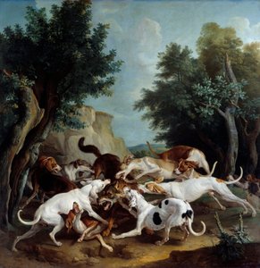 Caccia al lupo