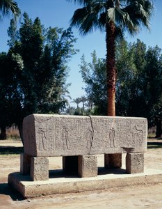 Egitto, Il Cairo, Antica Menfi, Sarcofago inciso da Nicolas Toussaint Charlet