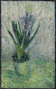 Giacinto