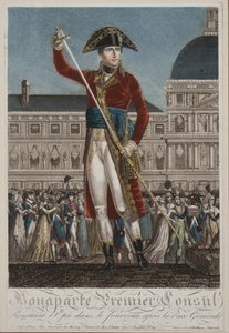 Napoleone Bonaparte come Primo Console