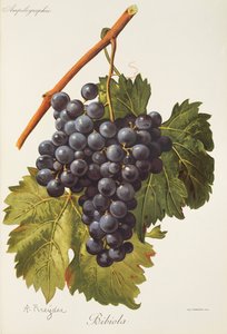 Bibiola da Alexis Kreyder