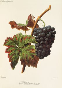 Madeleine Noire da Alexis Kreyder