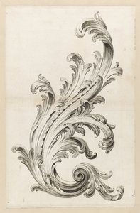 Design di foglia di acanto da Alexis Peyrotte