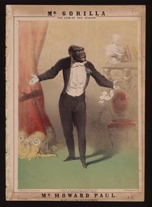 “Io sono il gorilla di Monsieur Chaillu”