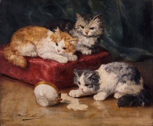 I gatti