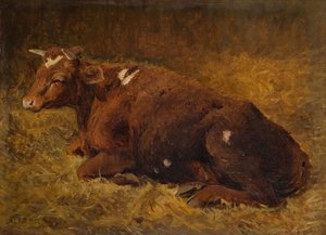 Mucca sdraiata a terra