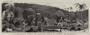 Una Battuta di Caccia in India Centrale attaccata da Calabroni