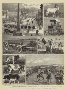 Una mostra agricola sudafricana, Port Elizabeth, Colonia del Capo