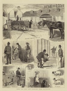Casa per cani persi e affamati, Battersea da Alfred Chantrey Corbould